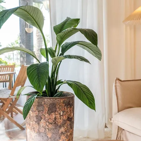 Costalita One Bedroom Estepona