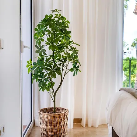 Apartamento Costalita One Bedroom