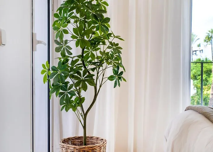 דירה Costalita One Bedroom